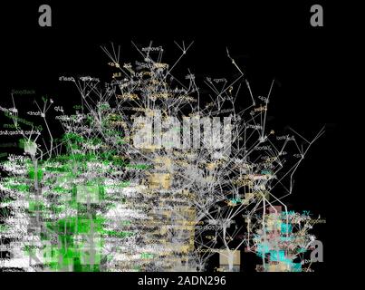 Website source code visualisation, computer artwork. This image was created using software designed to transform the source code of www.yahoo.com webs Stock Photo