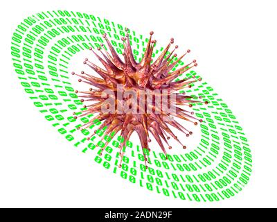 Computer virus, conceptual computer artwork. A biological virus particle is surrounded by rings of binary code. A computer virus is a malicious progra Stock Photo