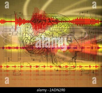Voice recognition. Conceptual computer artwork of voice patterns (jagged waveforms, red), a circuit diagram and a human brain, representing computer v Stock Photo