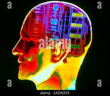 Artificial intelligence. Abstract image of the side view of a human head containing an electronic circuit board. Circuit boards contain microprocessor Stock Photo