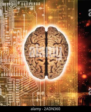 Artificial intelligence. Conceptual computer artwork of stars and a human brain (top view) with printed circuits and wiring diagrams representing arti Stock Photo