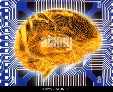 Artificial intelligence. Conceptual computer artwork of a human brain against a background of electronic circuitry, representing artificial intelligen Stock Photo