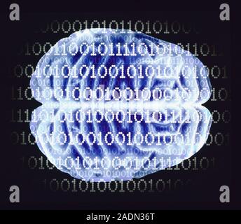 Artificial intelligence (AI). Conceptual computer artwork of a human brain (seen from above) and the zeros and ones of computer binary code. The front Stock Photo