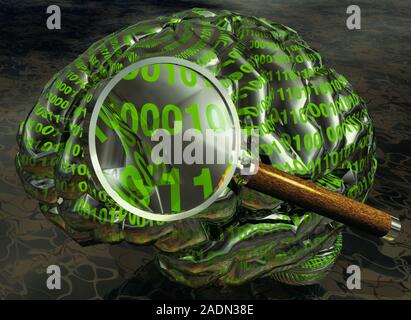 Digital brain. Conceptual computer artwork of a virtual human brain being examined by a magnifying glass. This could represent artificial intelligence Stock Photo