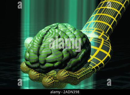 Digital brain. Conceptual computer artwork of a digital human brain held in a virtual hand. This could represent artificial intelligence. Stock Photo