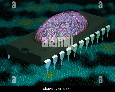 Brain on a chip. Conceptual computer artwork of a brain-like structure on a microchip. This could represent the use of neural networks in computing. Stock Photo