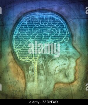 Artificial intelligence. Conceptual artwork of a human brain overlaid with binary digits, representing artificial intelligence, the simulation of huma Stock Photo