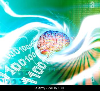 Artificial intelligence. Conceptual computer artwork of a human brain and binary numbers. This may represent artificial intelligence, the ability of a Stock Photo
