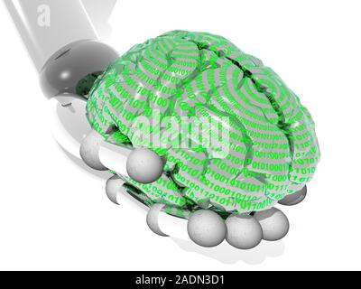 Artificial intelligence. Conceptual computer artwork showing a brain displaying the computer language of binary, cradled by a robotic hand. Research i Stock Photo