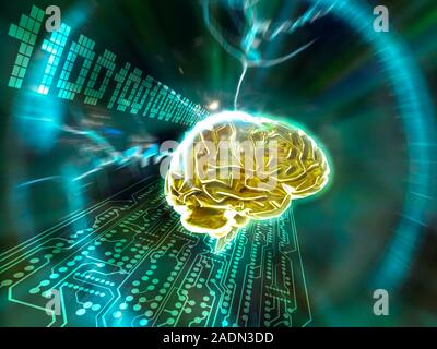 Artificial intelligence, conceptual computer artwork. Human brain being struck by lightning with binary numbers and a printed circuit board. This coul Stock Photo