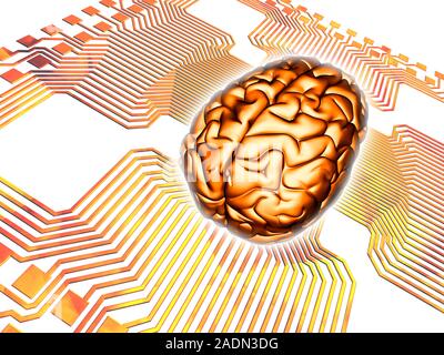 Artificial intelligence. Conceptual computer artwork of artificial intelligence, showing a printed circuit board (PCB) overlaid with a human brain. Hu Stock Photo