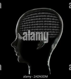 Artificial intelligence, conceptual image. Binary code inside a model head. Stock Photo