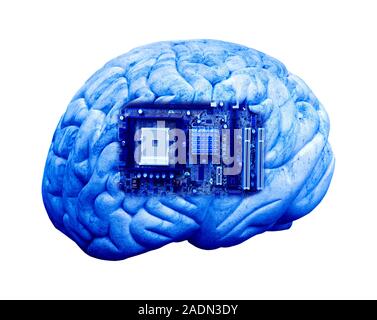 Artificial intelligence and cybernetics, conceptual image. This image of a computer motherboard, superimposed on a human brain, could represent concep Stock Photo
