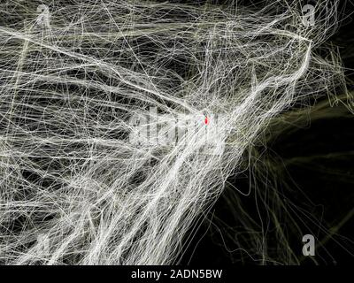 Air traffic visualisation. Computer artwork of air traffic over New York State, USA. This image is one frame from an animation of air traffic over a 2 Stock Photo