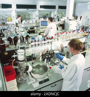 Chemistry laboratory. Chemists working in a laboratory. Stock Photo