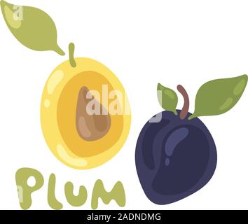 Plum fruit and leaf vector icon. Fresh juicy plum isolated on a white background. Colorful half and whole plum with a leaf. Perfect for juice or jam Stock Vector