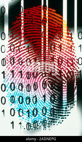 Electronic security. Conceptual computer artwork of a fingerprint, the zeros and ones of binary code, and the black bars of a bar code. The image may Stock Photo