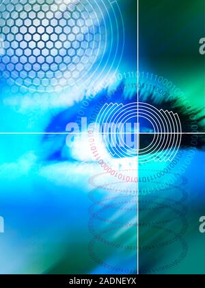 Biometric eye scan. Computer artwork of a human eye being scanned, surrounded by binary code. Biometrics is the identification of individuals by their Stock Photo