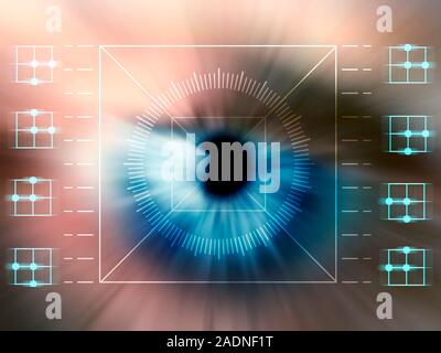 Biometric eye scan. Computer artwork of a human eye being scanned. Biometrics is the identification of individuals by their body parts. The iris, the Stock Photo
