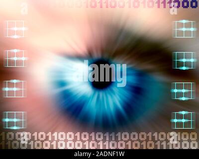 Biometric eye scan. Computer artwork of a human eye being scanned, surrounded by binary code. Biometrics is the identification of individuals by their Stock Photo