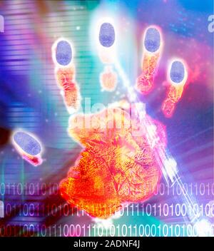 Hand biometrics. Conceptual computer artwork of a handprint and binary numbers (0 and 1, across bottom). This could represent the computerised scannin Stock Photo