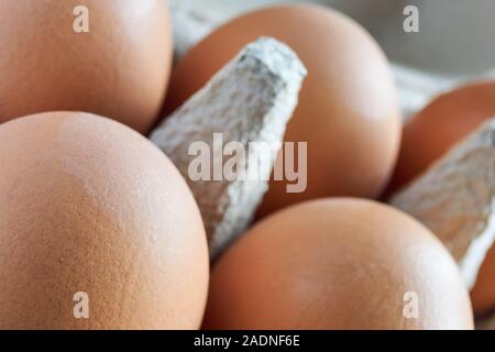 Close-up of fresh organic brown eggs in a grey egg carton or egg box Stock Photo