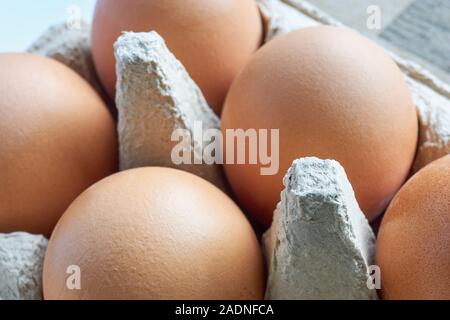 Close-up of fresh organic brown eggs in a grey egg carton or egg box Stock Photo