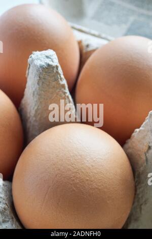 Close-up or macro of fresh organic brown eggs in a grey egg carton or egg box vertical Stock Photo