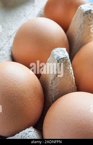 Close-up or macro of fresh organic brown eggs in a grey egg carton or egg box vertical Stock Photo