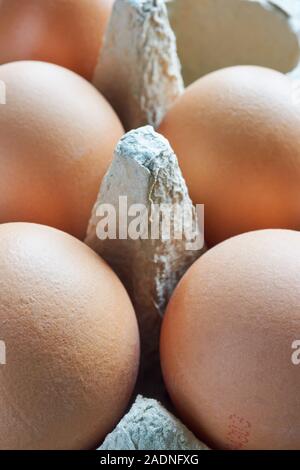 Close-up or macro of fresh organic brown eggs in a grey egg carton or egg box vertical Stock Photo