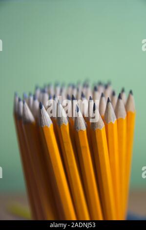 Group of yellow pencils sorted and with the tips facing up, in the background a green wall Stock Photo