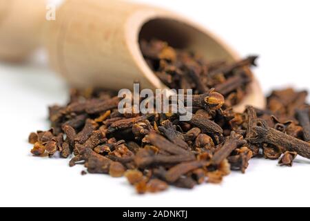 Cloves on a spice scoop Stock Photo