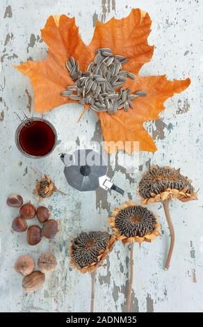 Cup of coffee ,a coffee maker ,a plane tree leaf with some sunflower seeds, dried sunflowers,chestnuts and nuts on an old  wooden table Stock Photo