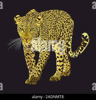 Walking leopard graphic design isolated on black background. Animal hand drawn illustration. - Vector Stock Vector