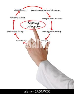 Diagram of Audit Cycle Stock Photo - Alamy
