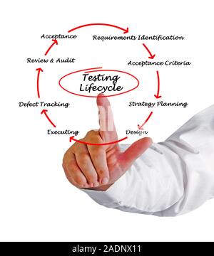 Diagram of Audit Cycle Stock Photo - Alamy