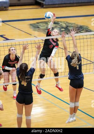 Volleyball action with Timberlake vs Gooding High School in Coeur d'Alene, Idaho. Stock Photo