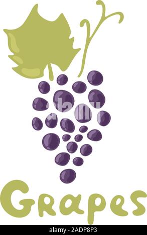 Dark blue or violet grapes illustration - stem and leaf isolated on white background. Grape cluster vector illustration in flat design. Stock Vector