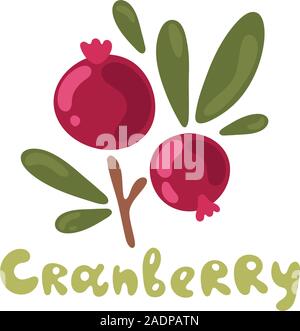 Vector color illustration of cranberry with handwritten lettering name in English on white isolated background. Cute plant. Flat doodle design. Stock Vector