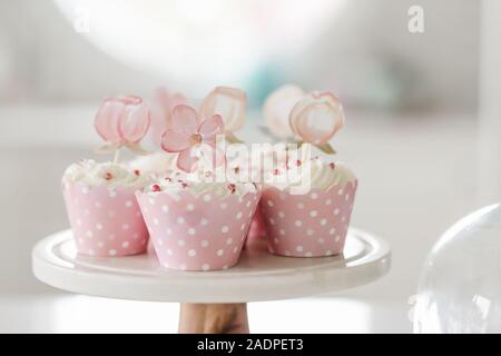 pink cupcakes Stock Photo
