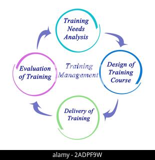 Four components of Training Management Stock Photo - Alamy