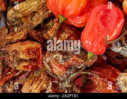 Dried and fresh Scotch Bonnet peppers still life food photograph Stock Photo