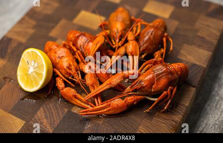 Tasty boiled crayfishes with fennel on table Stock Photo