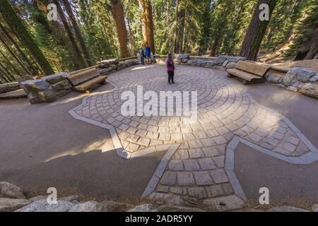 Design in trail to the General Sherman Tree, the largest tree in the world, showing the base size of the immense tree, in Sequoia National Park, Calif Stock Photo