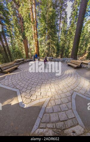 Design in trail to the General Sherman Tree, the largest tree in the world, showing the base size of the immense tree, in Sequoia National Park, Calif Stock Photo