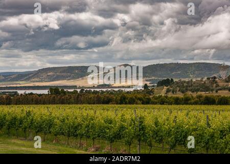 Meadowbank, TAS, Australia - December 13, 2009: Landscape of green vineyard under dark, black and white heavy rainy cloudscape over forested hills on Stock Photo