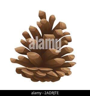 Pine cone on white isolated background. Vector image. Design element. Stock Vector
