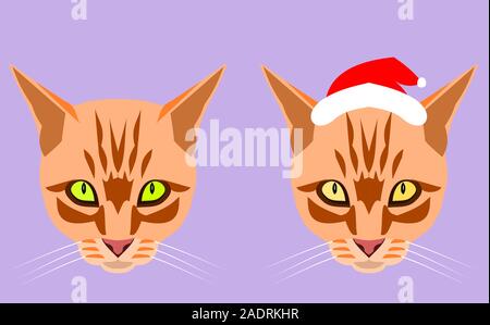 Two head and face of the orange color tabby cat wearing a Santa Claus hat on purple background, Cartoon and graphic about Christmas pets and New Year' Stock Vector