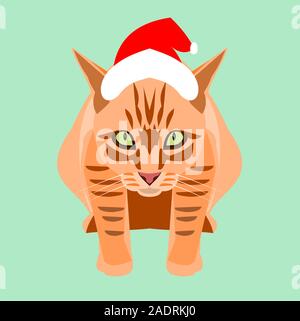 Orange color tabby cat wearing a Santa Claus hat on green background, Cartoon and graphic about Christmas pets and New Year's celebration Stock Vector