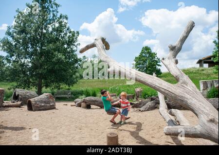 Brothers push each other on a tree swing outdoors at a local park Stock Photo